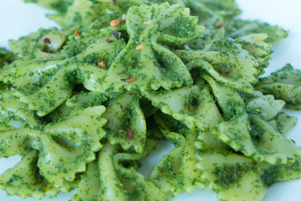 Pasta with kale pesto