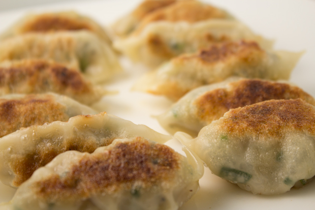 Gyoza