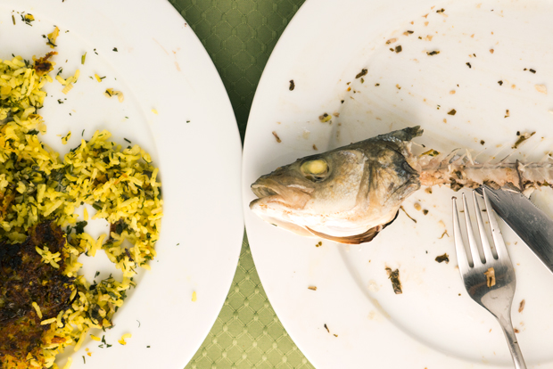 Persian herbed rice and fish stuffed with herbs, pomegranate and walnuts