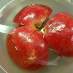 How to seed a pomegranate-2