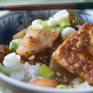 Korean tofu and radish
